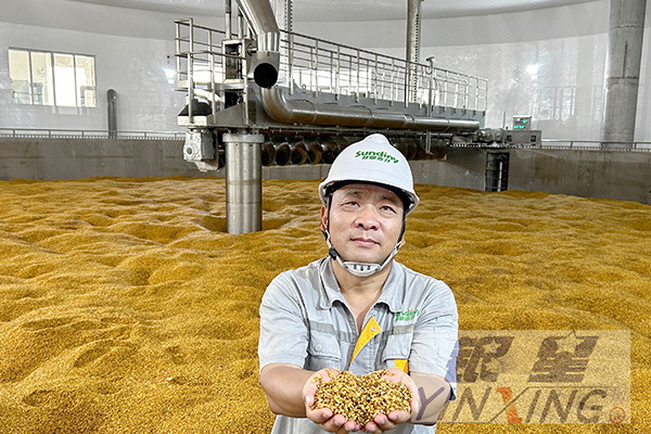 The construction of the 120,000 tons per year capacity Haiyue Malt production line under contract with Yinxing was officially completed today