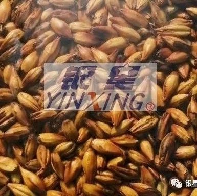 What are the types of specialty malt? What equipment is needed to manufacture special malt?