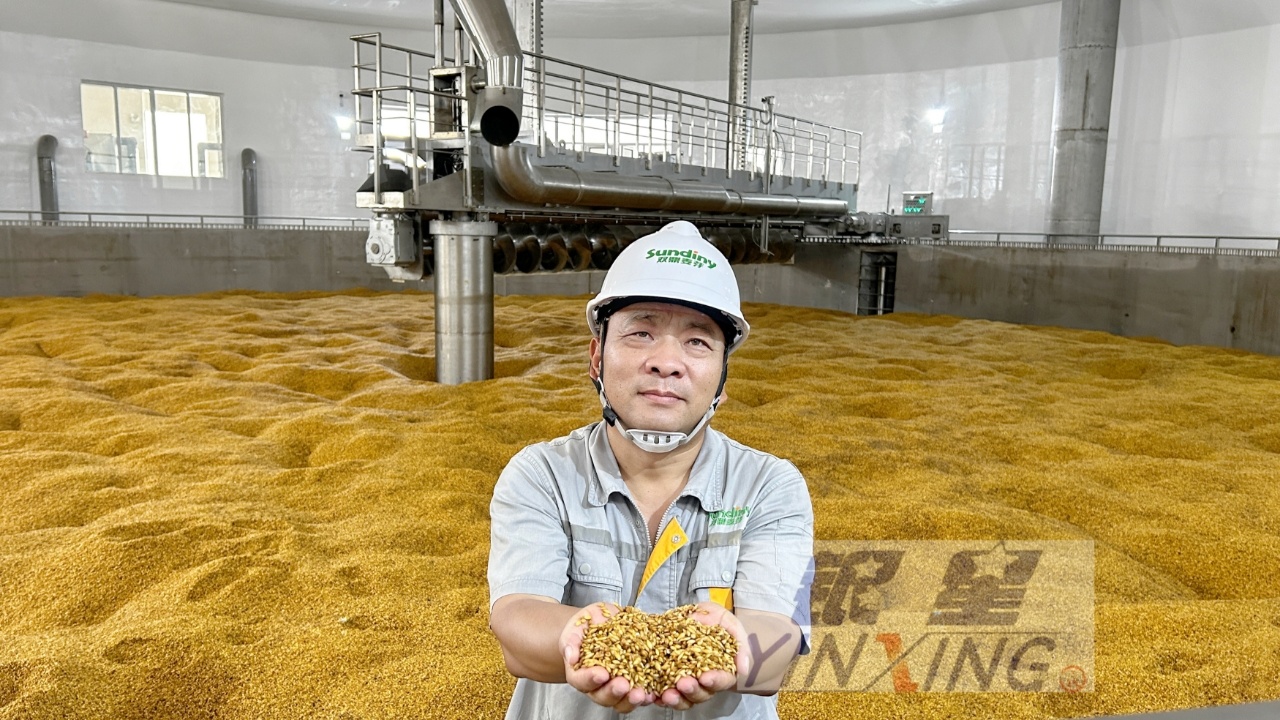 Hubei Haiyue Malt Phase II Project Successfully Commences Operations, Marking a Milestone Moment