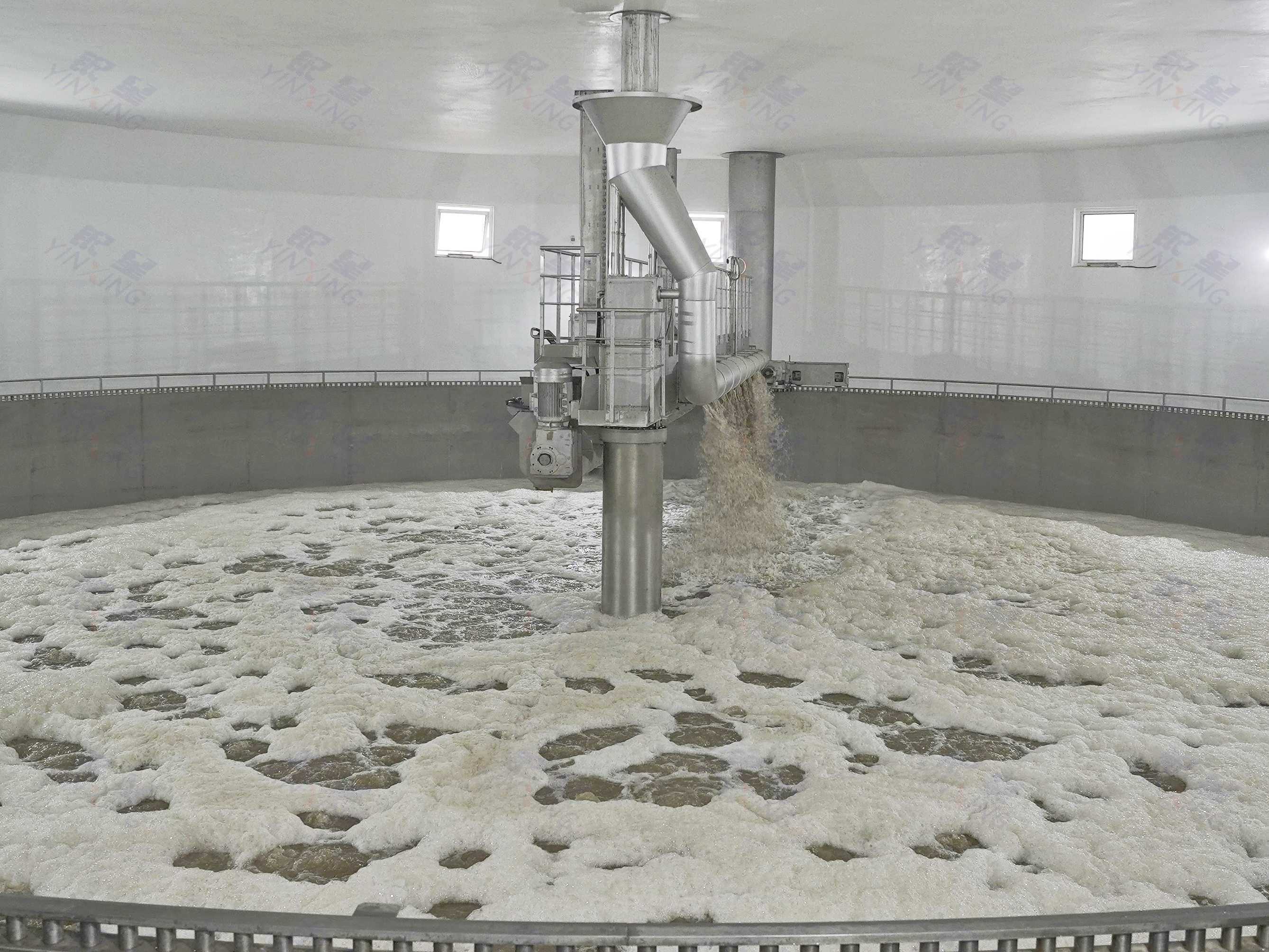 Steeping Solutions Steeping Solutions