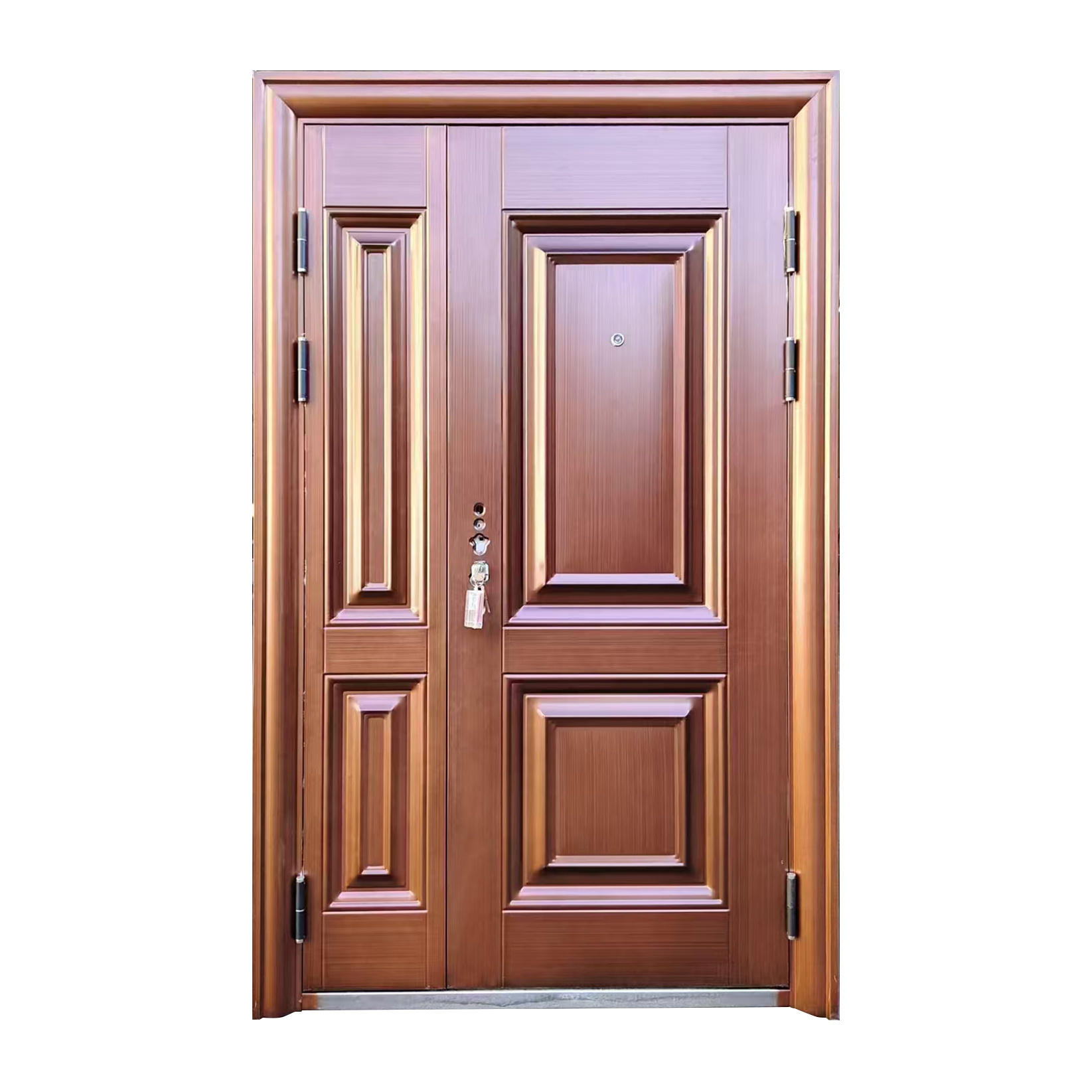 Security Door 014