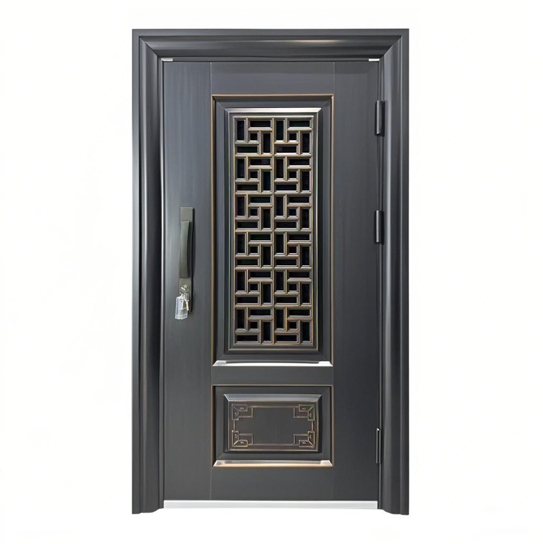 Security Door 013