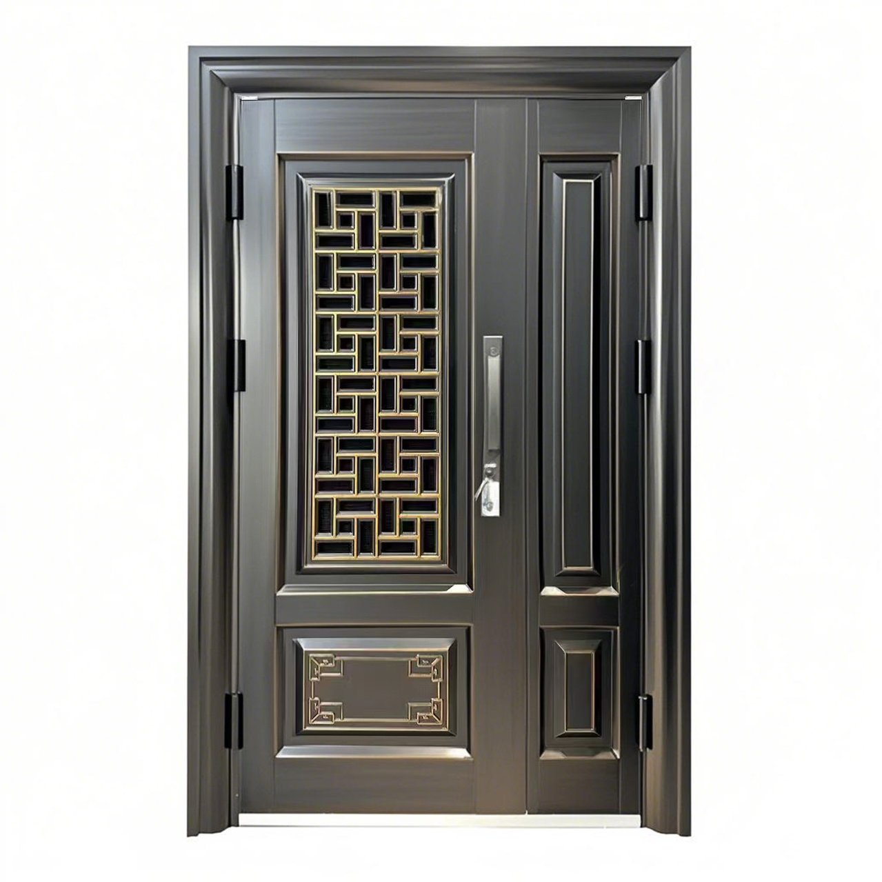 Security Door 009