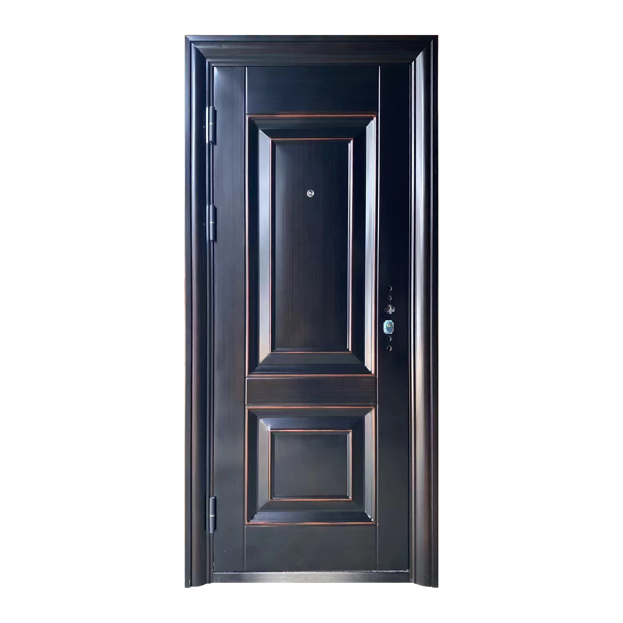 Security Door 008
