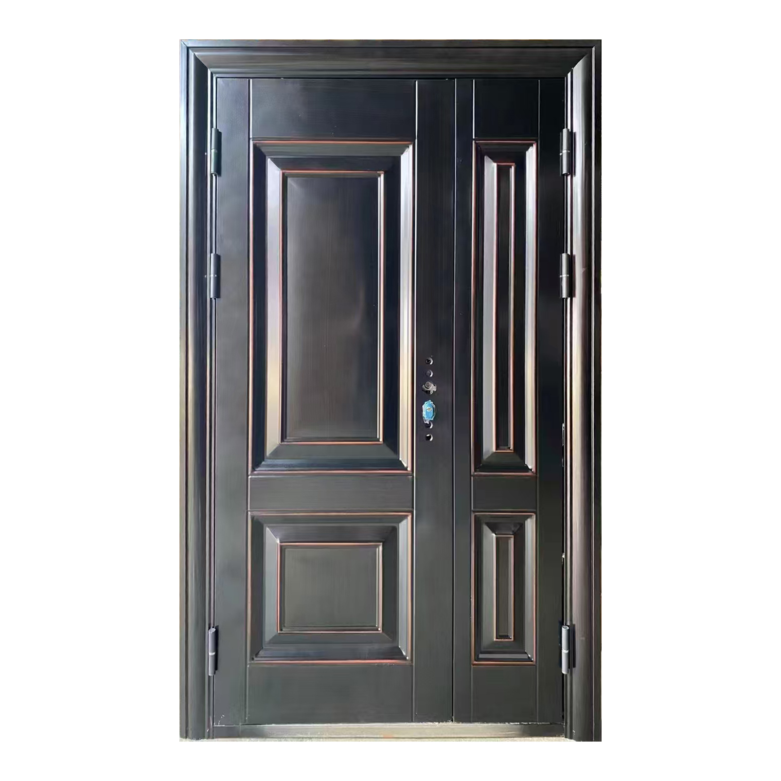Security Door 006