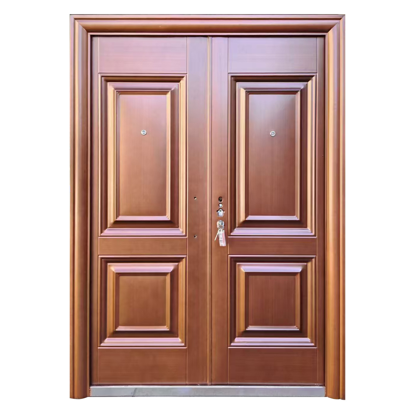 Security Door 001
