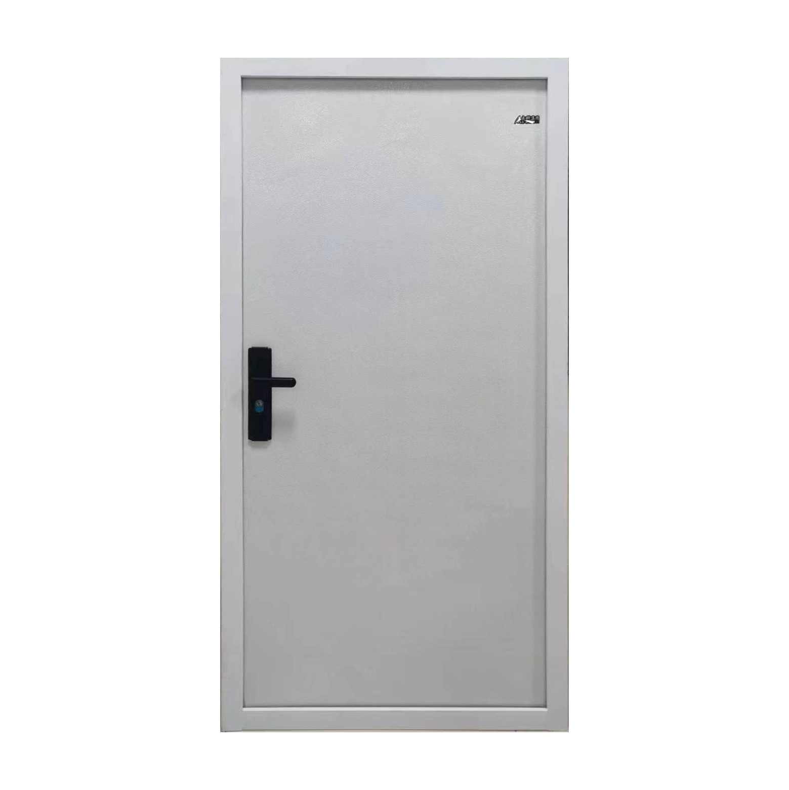 Hinged Door 001 (Not Glass)