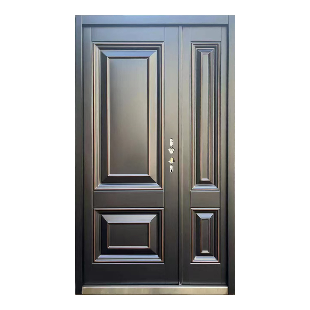 Security Door 011