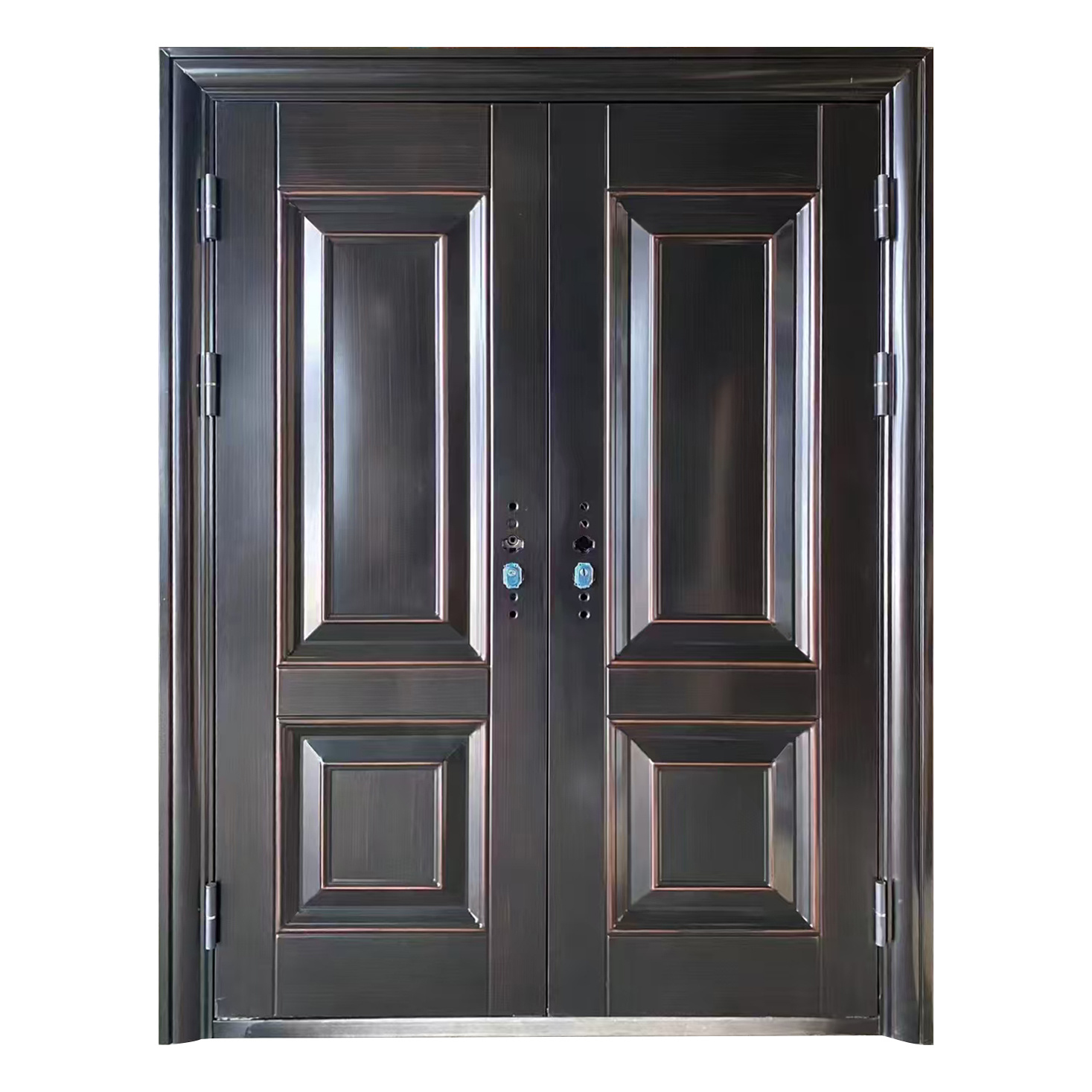 Security Door 007