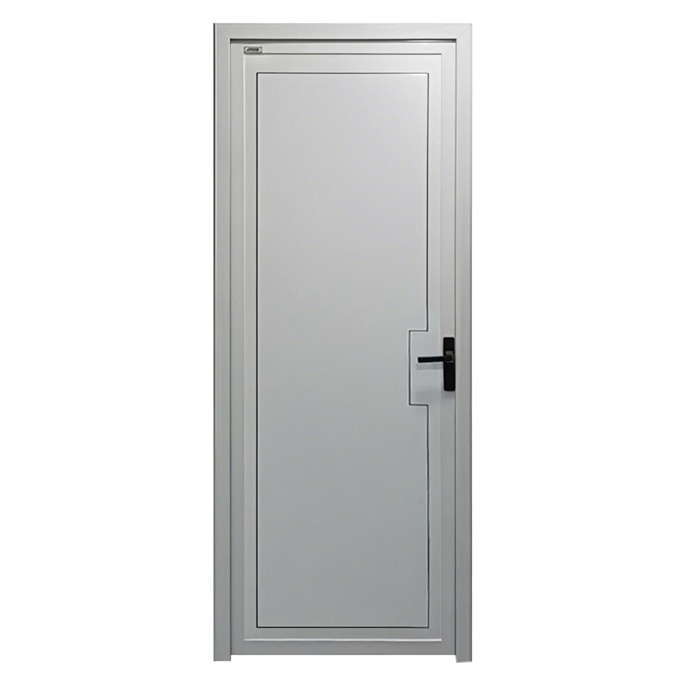 Hinged Door 005 (Not Glass)