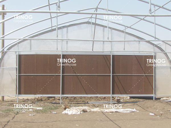 Sudan Single Tunnel Growing Greenhouse