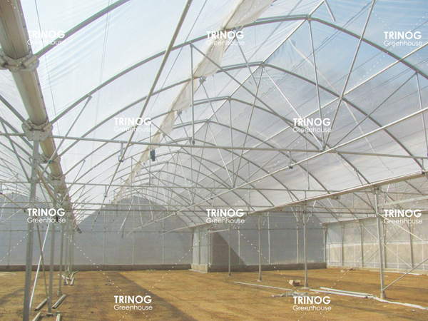 Cyprus Island Plastic Film Greenhouse for Vegetable