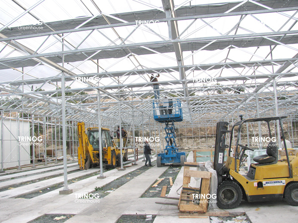 Cyprus Island Glass Greenhouse for Vegetable Hydroponic