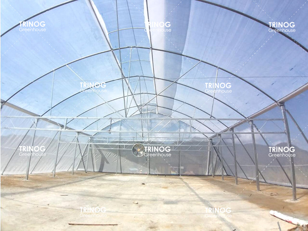 Jamaica High Strong Gothic Tunnel Greenhouse (en inglés)