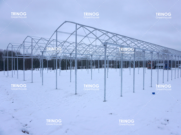 Serre à membrane de légumes de la neige suédoise