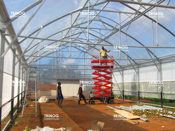 Fiji Island Plant Seedling Greenhouse (en inglés)
