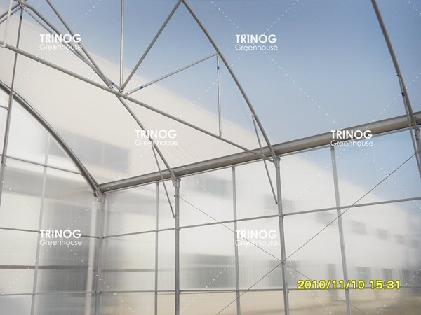 摩尔多瓦农业薄膜温室