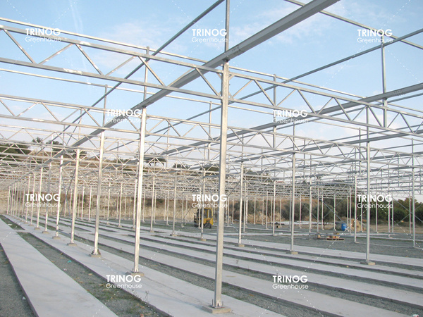 Invernadero de cristal de la isla de Chipre para hidroponía vegetal