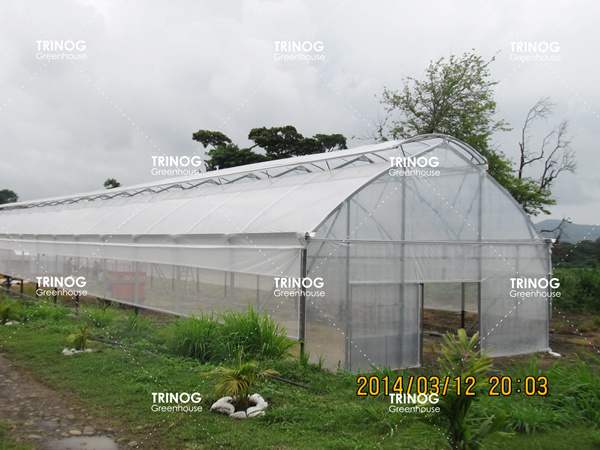 斐济岛植物育苗温室