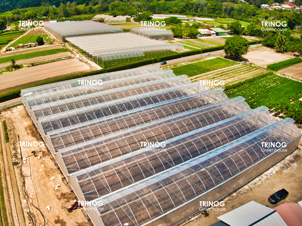 Seychelles Island Vegetable Hydroponics Greenhouse (en inglés)