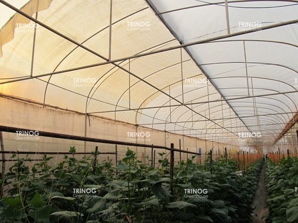 Thaïlande membrane de ventilation de toit fixe eu Greenhouse