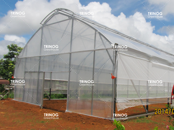 斐济岛植物育苗温室