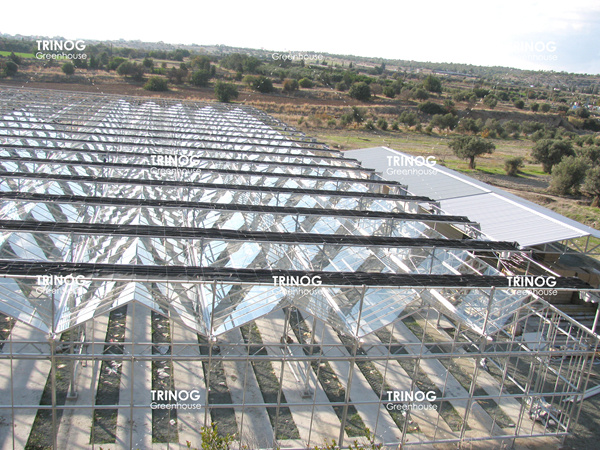 Cyprus Island Glass Greenhouse for Vegetable Hydroponic