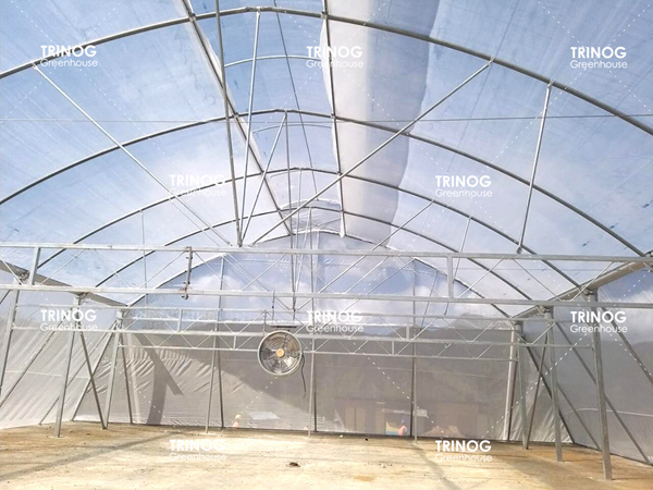 Jamaica High Strong Gothic Tunnel Greenhouse (en inglés)
