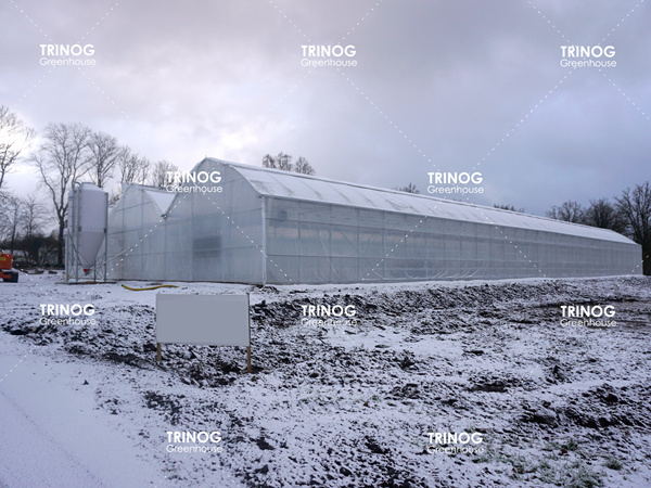 Serre à membrane de légumes de la neige suédoise