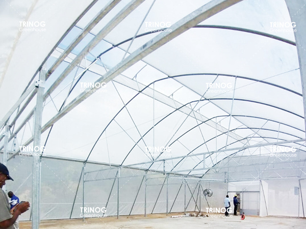 Jamaica High Strong Gothic Tunnel Greenhouse