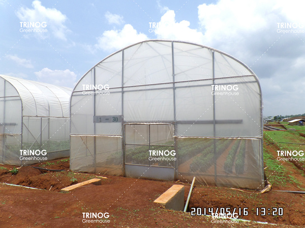 缅甸植物育种光隧道温室