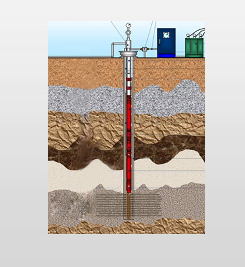 Electric Submersible Pump System