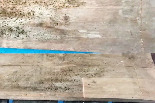 Removing Mold from Wood Surface Removing Mold from Wood Surface