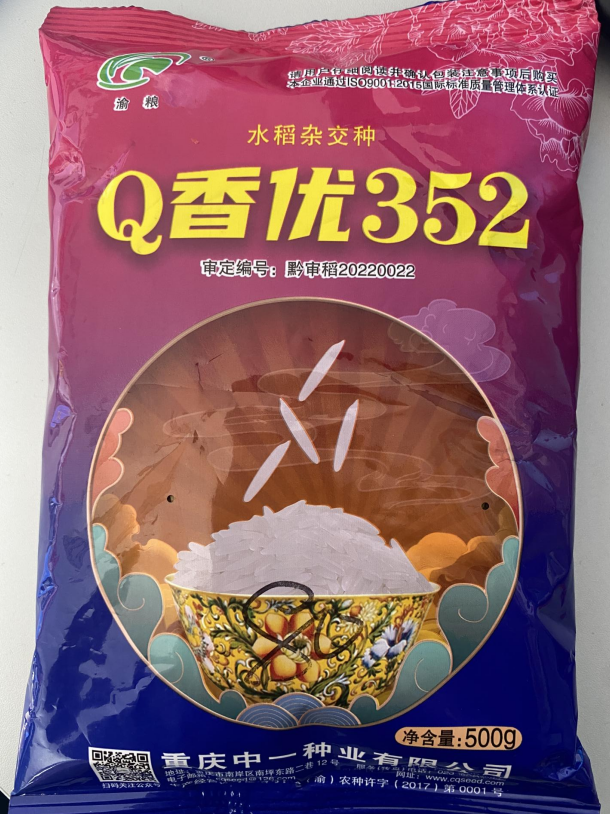 Q香优352