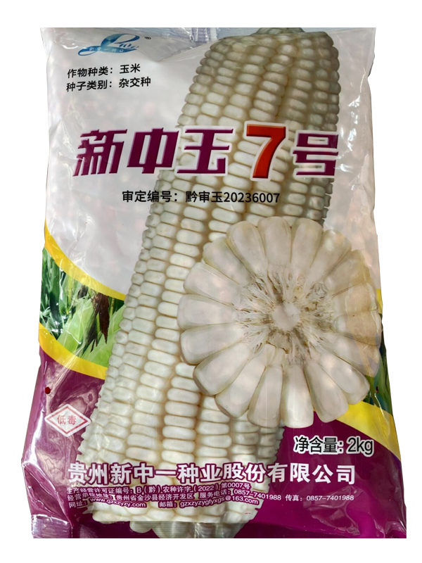 新中玉7号