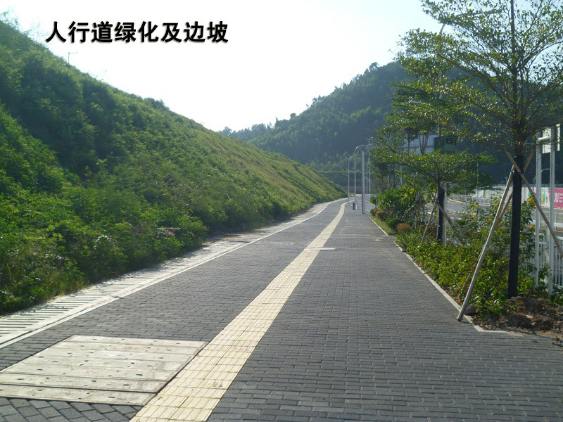 深圳市龍崗區(qū)仙嶺路市政工程第I標(biāo)段