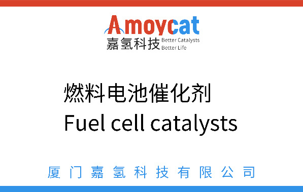 Fuel cell catalysts Fuel cell catalysts