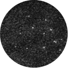 Single-atom catalyst Single-atom catalyst