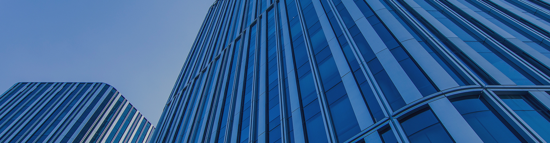 Company profile