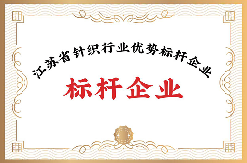 江苏省针织行业竞争力优势标杆企业