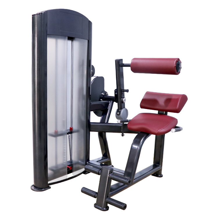 Back extension