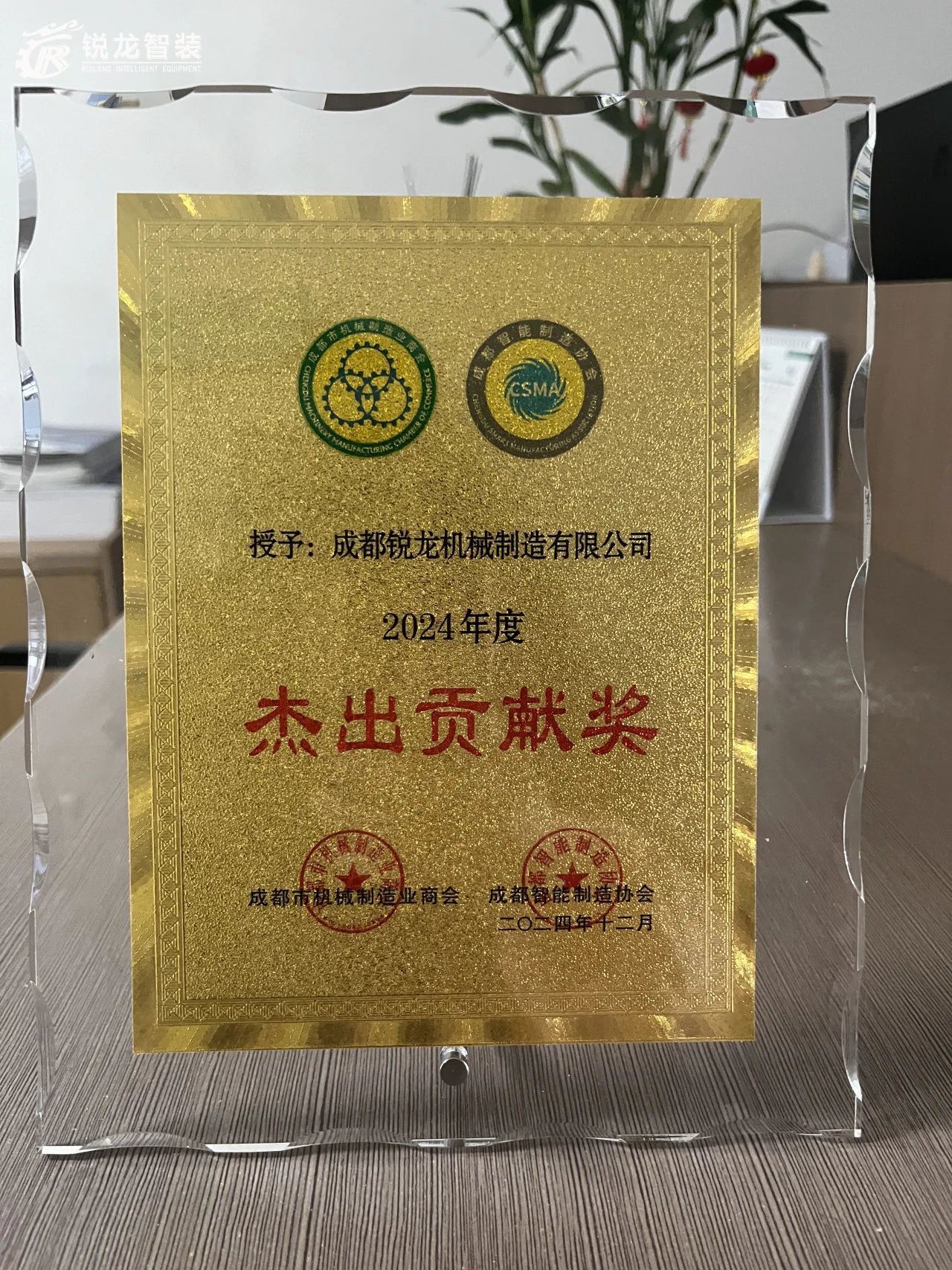 锐龙 锐龙