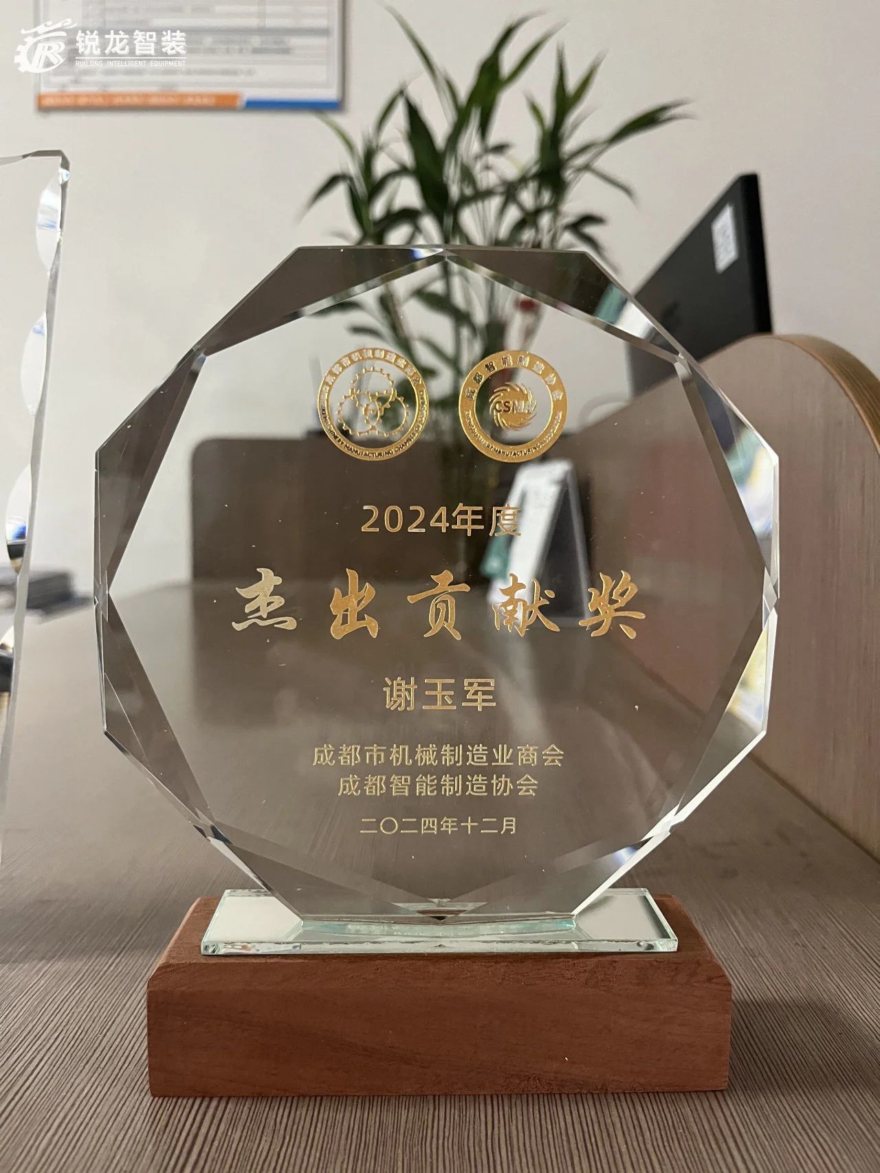 锐龙 锐龙