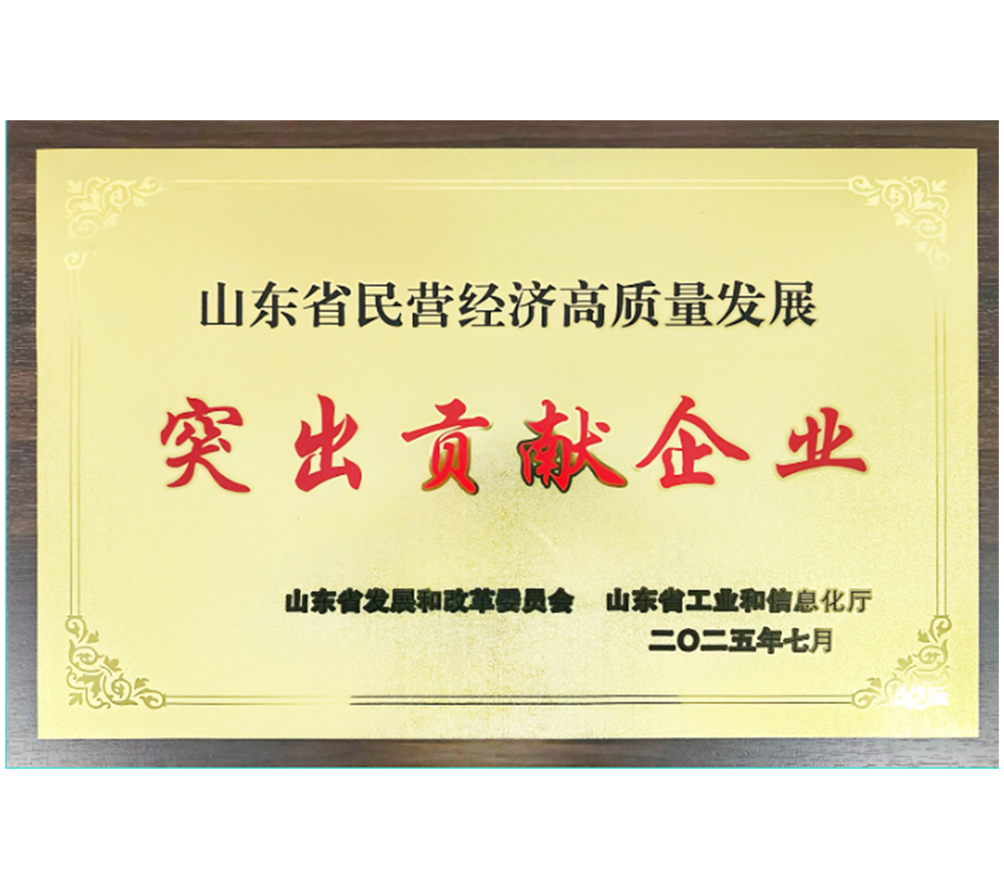 突出贡献企业