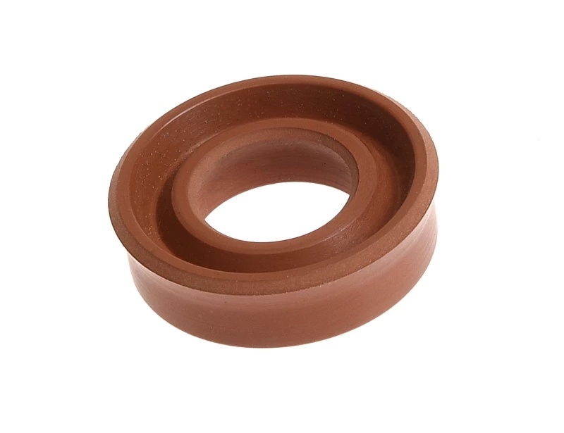 fkm oil seal