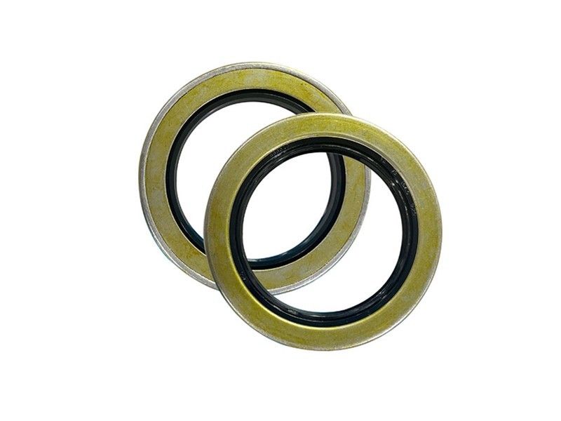Fluorocarbon (FKM) O-Rings