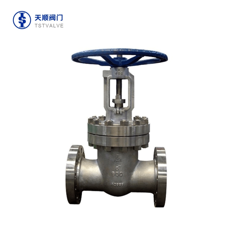 Gate valve of metal