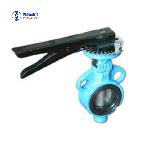 Semi-lug butterfly valve