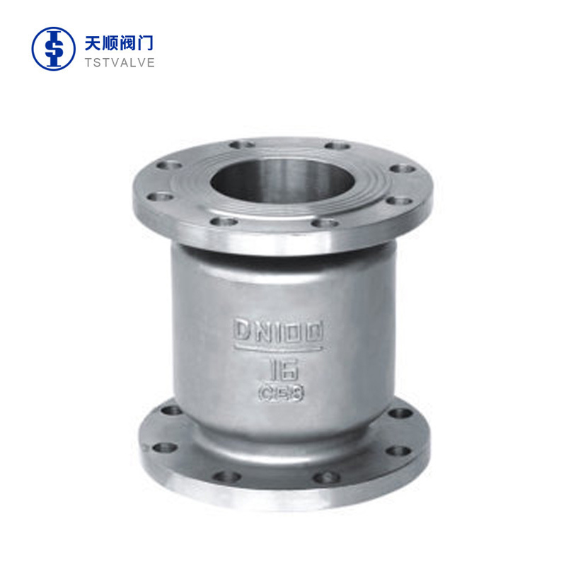 Vertical check valve