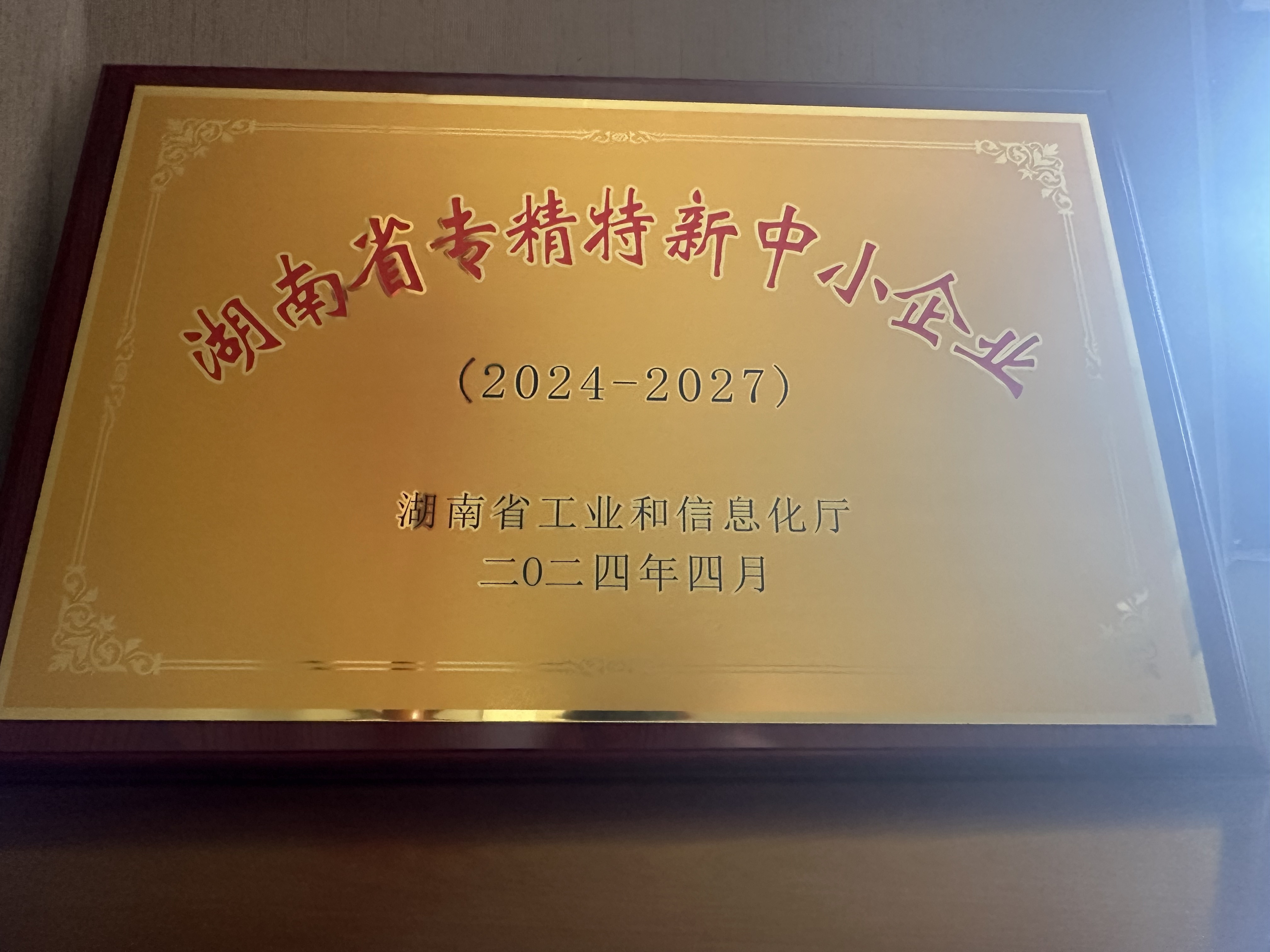 湖南省专精特新中小企业 湖南省专精特新中小企业